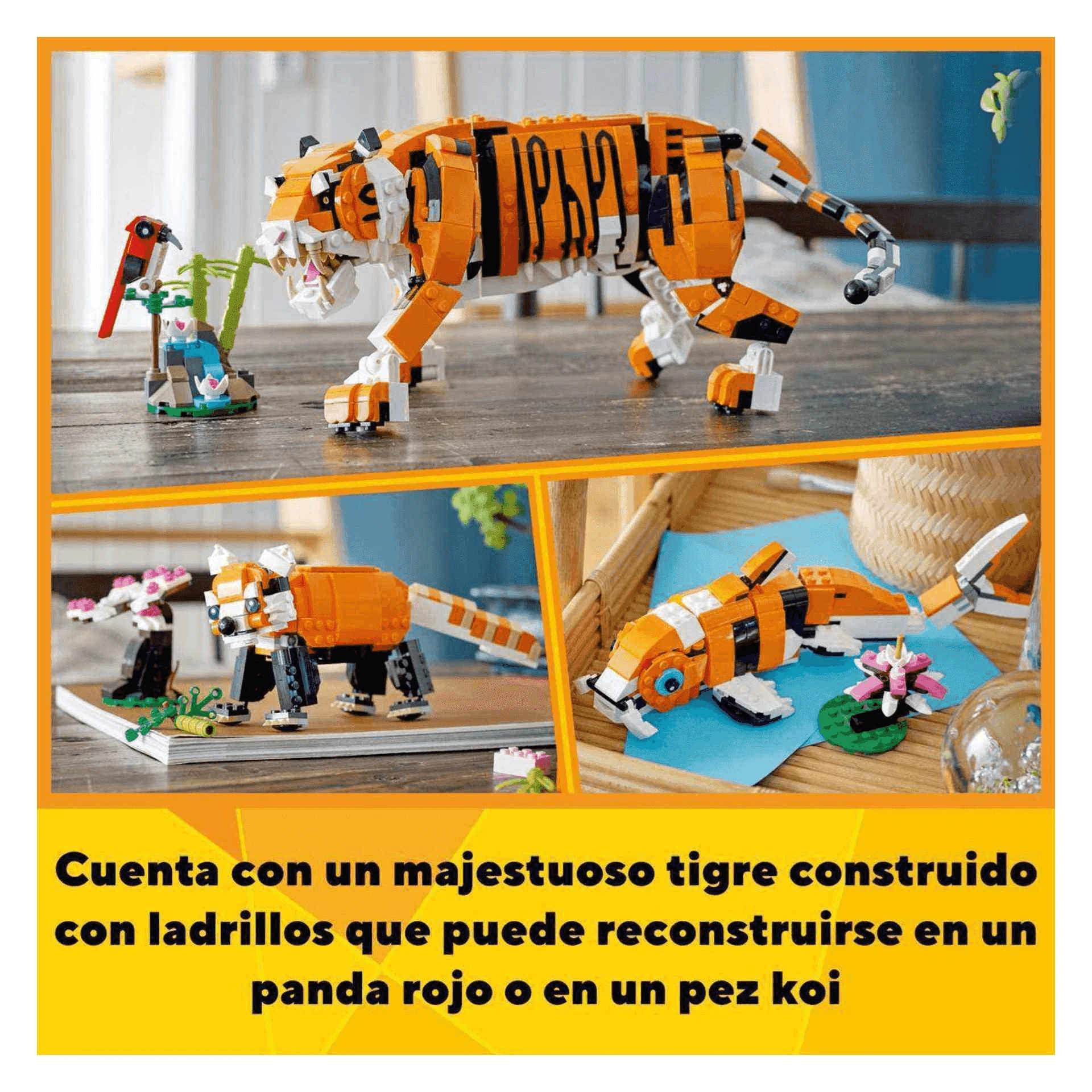Imagen del producto 3